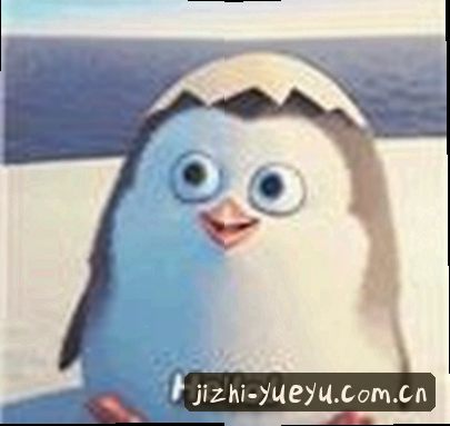 张悦