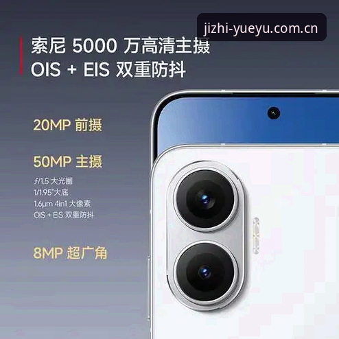 乐鱼体育平台深度解析：官方网站对比与用户体验全面评估